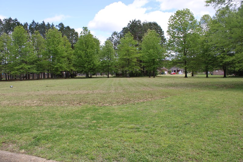 South Glenbrook 100078, 